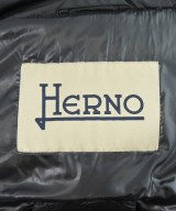 HERNO（ヘルノ）ダウンジャケット/ダウンベスト 黒 サイズ:42(M位) レディース/2200696453021