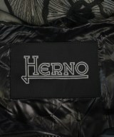 HERNO（ヘルノ）ダウンジャケット/ダウンベスト 黒 サイズ:44(L位) レディース/2200655995128