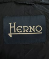HERNO（ヘルノ）ダウンジャケット/ダウンベスト 黒 サイズ:48(L位) メンズ/2200657506032