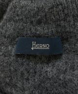 HERNO（ヘルノ）ニット・セーター グレー サイズ:50(XL位) メンズ/2200661869116