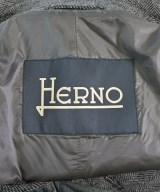 HERNO（ヘルノ）その他 グレー サイズ:44(S位) メンズ/2200715060254