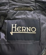 HERNO（ヘルノ）その他 グレー サイズ:-(L位) メンズ/2200716112082
