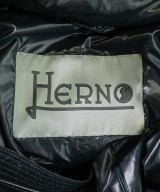 HERNO（ヘルノ）ダウンジャケット/ダウンベスト 紺 サイズ:50(XL位) メンズ/2200646531038