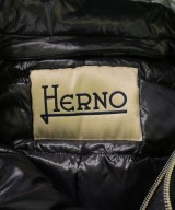HERNO（ヘルノ）ダウンコート 黒 サイズ:-(XL位) レディース/2200646594019