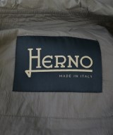 HERNO（ヘルノ）その他 グレー サイズ:44(L位) レディース/2200637368179