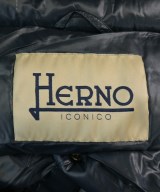 HERNO（ヘルノ）ダウンジャケット/ダウンベスト 紺 サイズ:42(M位) レディース/2200642641014