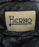HERNO（ヘルノ）ダウンジャケット/ダウンベスト 黒 サイズ:44(L位) レディース/2200640490164