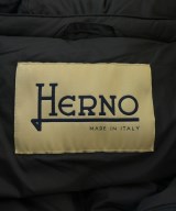 HERNO（ヘルノ）その他 紺 サイズ:44(L位) レディース/2200646663029
