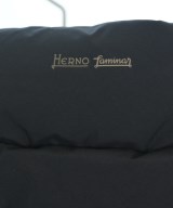 HERNO（ヘルノ）ダウンジャケット/ダウンベスト 紺 サイズ:42(M位) レディース/2200629274143