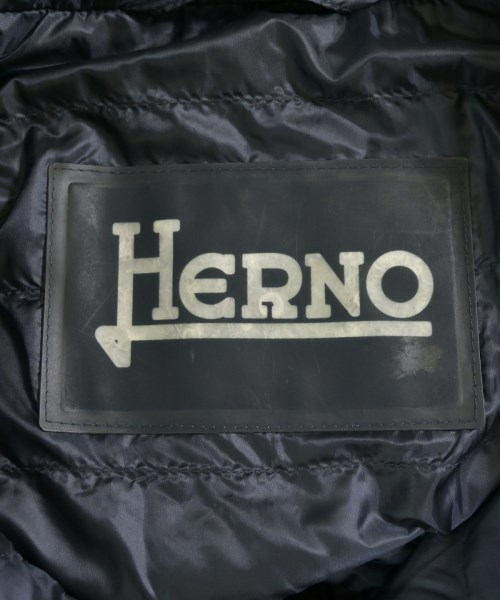 HERNO（ヘルノ）ダウンジャケット/ダウンベスト 紺 サイズ:46(M位) メンズ/2200699474429