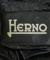 HERNO（ヘルノ）ダウンコート 黒 サイズ:40(M位) レディース/2200702820014