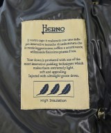 HERNO（ヘルノ）ダウンコート 黒 サイズ:40(M位) レディース/2200702820014