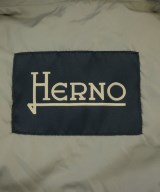HERNO（ヘルノ）マウンテンパーカー グレー サイズ:-(M位) レディース/2200731376032