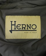 HERNO（ヘルノ）ダウンコート グレー サイズ:42(M位) レディース/2200729337014