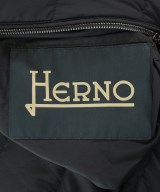 HERNO（ヘルノ）ダウンジャケット/ダウンベスト 茶 サイズ:46(M位) メンズ/2200733783067