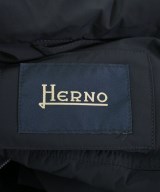 HERNO（ヘルノ）ダウンジャケット/ダウンベスト 紺 サイズ:44(S位) メンズ/2200721072012