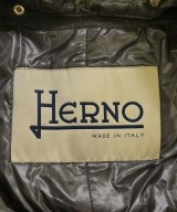 HERNO（ヘルノ）ダウンコート グレー サイズ:38(S位) レディース/2200718002022