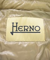HERNO（ヘルノ）ダウンコート グレー サイズ:42(M位) レディース/2200724143030