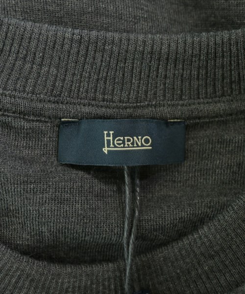 HERNO（ヘルノ）ニット・セーター グレー サイズ:46(M位) メンズ/2200728565012