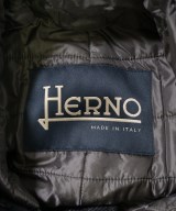 HERNO（ヘルノ）その他 グレー サイズ:50(XL位) メンズ/2200680022011