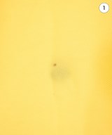 Brooks Brothers（ブルックスブラザーズ）ポロシャツ 黄 サイズ:L メンズ/2200627918490