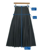 AKRIS（アクリス）ロング・マキシ丈スカート 黒 サイズ:40(M位) レディース/2200673049094