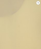 AKRIS（アクリス）その他 白 サイズ:US10(XL位) レディース/2200668484015