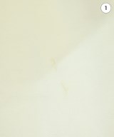 JIL SANDER NAVY（ジルサンダーネイビー）ロング・マキシ丈スカート 白 サイズ:34(XXS位) レディース/2200661455029