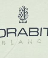 MORABITO（モラビト）Tシャツ・カットソー 白 サイズ:38(S位) レディース/2200640877101