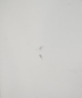 ADEAM（アデアム）その他 白 サイズ:0(XS位) レディース/2200683593020