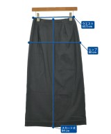 EVEX by KRIZIA（エヴェックスバイクリッツア）ロング・マキシ丈スカート グレー サイズ:40(M位) レディース/2200623932049