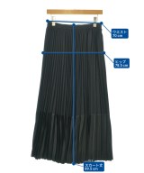 TAE ASHIDA（タエアシダ）ロング・マキシ丈スカート 黒 サイズ:11(L位) レディース/2200629274037