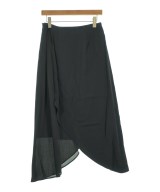 TAE ASHIDA（タエアシダ）ロング・マキシ丈スカート 黒 サイズ:11(L位) レディース/2200629274099