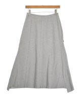 HIROKO BIS（ヒロコビズ）ロング・マキシ丈スカート グレー サイズ:9(M位) レディース/2200649863044