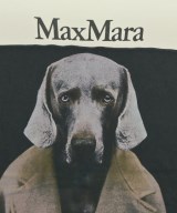 Max Mara（マックスマーラ）Tシャツ・カットソー 白 サイズ:-(M位) レディース/2200648993032