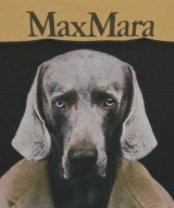 Max Mara（マックスマーラ）Tシャツ・カットソー ベージュ サイズ:-(M位) レディース/2200648993049
