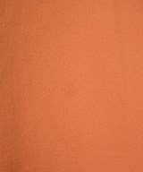 Max Mara（マックスマーラ）カジュアルシャツ オレンジ サイズ:40(M位) レディース/2200728363090