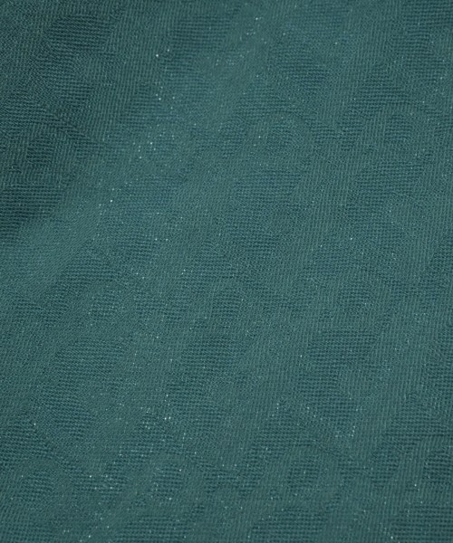 Christian Dior（クリスチャンディオール）ストール 緑 サイズ:- レディース/2200621375046