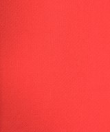 Christian Dior（クリスチャンディオール）その他 赤 サイズ:40(M位) レディース/2200632041015