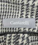 Cantarelli（カンタレリ）チェスターコート その他（柄物・カラフル） サイズ:46(M位) メンズ/2200610355318