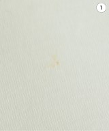 BRUNELLO CUCINELLI（ブルネロ　クチネリ）Tシャツ・カットソー 白 サイズ:L レディース/2200697590084