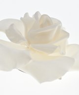 CHANEL（シャネル）ブローチ・コサージュ 黄 サイズ:- レディース/2200643263062