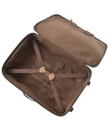 LOUIS VUITTON（ルイヴィトン）キャリーケース・スーツケース 茶 サイズ:55 レディース/2200675424141