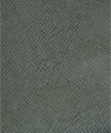 LOUIS VUITTON（ルイヴィトン）その他 緑 サイズ:- レディース/2200651806220