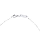 LOUIS VUITTON（ルイヴィトン）ネックレス シルバー サイズ:- レディース/2200645674026