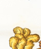 HERMES（エルメス）バンダナ・スカーフ 白 サイズ:90 レディース/2200631562085