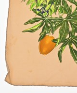 HERMES（エルメス）バンダナ・スカーフ ベージュ サイズ:- レディース/2200677457031