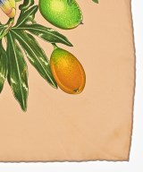 HERMES（エルメス）バンダナ・スカーフ ベージュ サイズ:- レディース/2200677457031