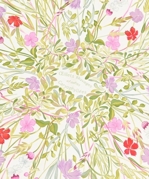 HERMES（エルメス）バンダナ・スカーフ 緑 サイズ:90 レディース/2200669730067