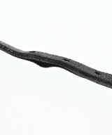 PRADA（プラダ）ブレスレット・バングル 黒 サイズ:- レディース/2200614245622